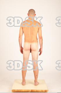 Body texture of Hanus 0025